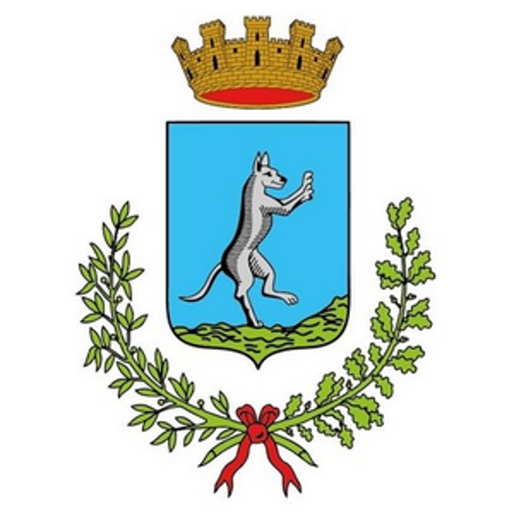 Stemma del Comune di San Giovanni Lupatoto